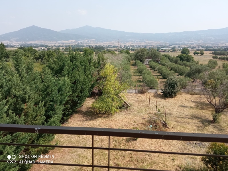 property-img