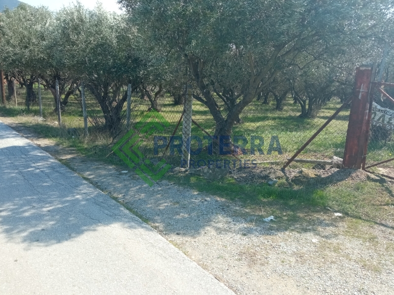 property-img