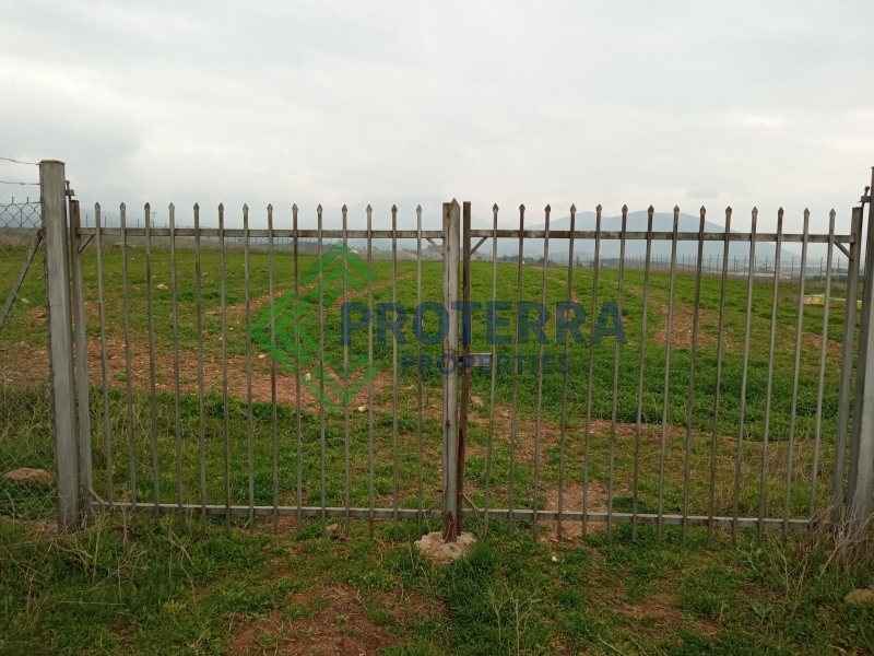 property-img