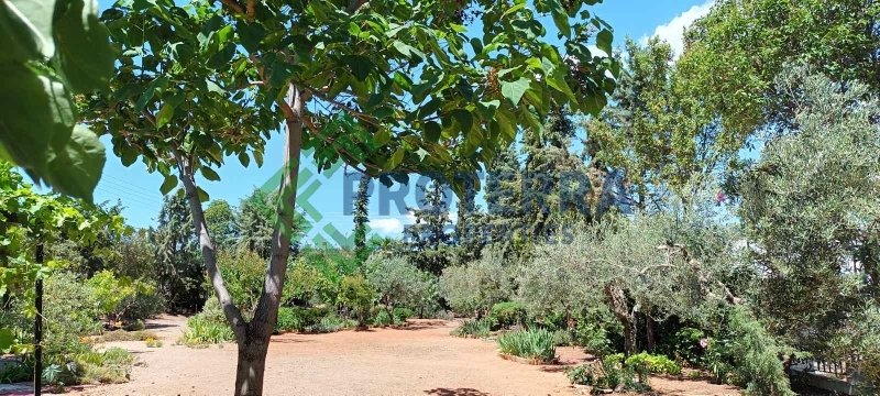 property-img