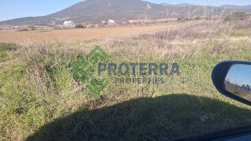 property-img
