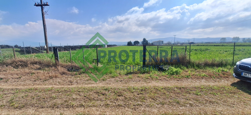 property-img